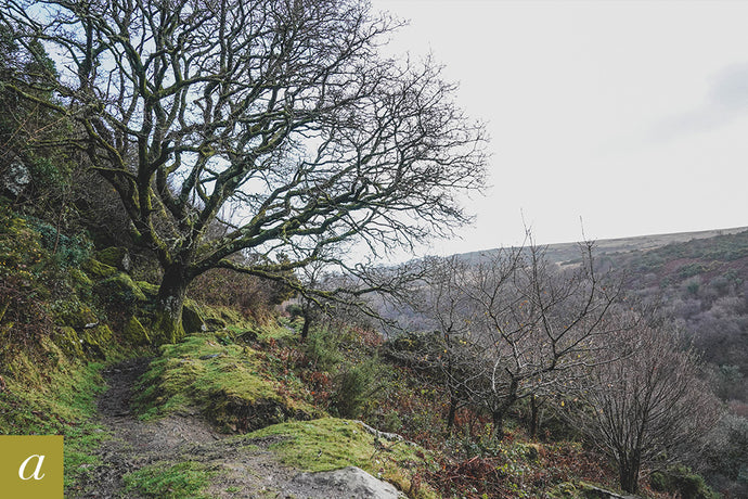 Dartmoor on December 11th 2020