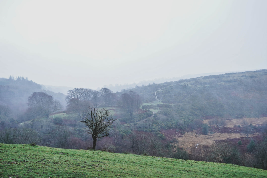 Dartmoor on December 13th 2020