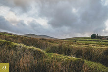 Load image into Gallery viewer, Dartmoor on December 14th 2020
