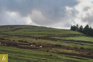 Dartmoor on December 14th 2020