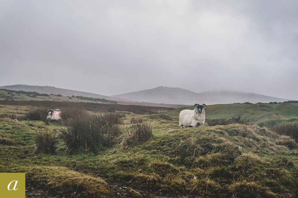 Dartmoor on December 17th 2020