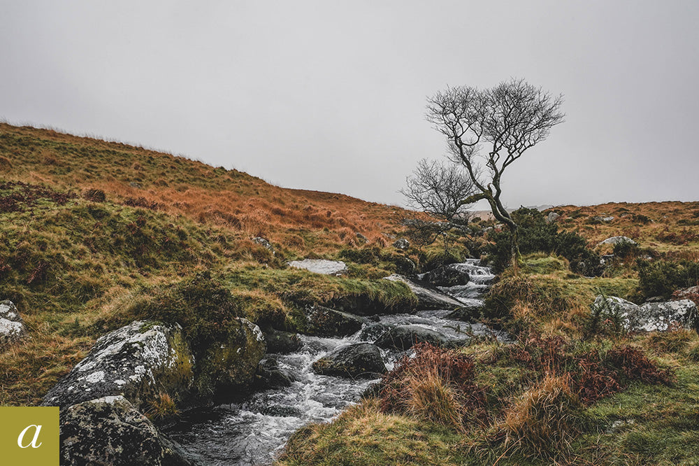 Dartmoor on December 2nd 2020