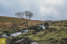 Load image into Gallery viewer, Dartmoor on December 22nd 2020
