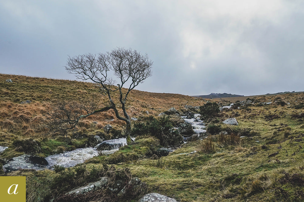 Dartmoor on December 22nd 2020