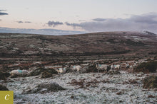 Load image into Gallery viewer, Dartmoor on December 31st 2020
