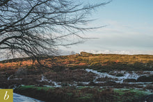 Load image into Gallery viewer, Dartmoor on December 4th 2020
