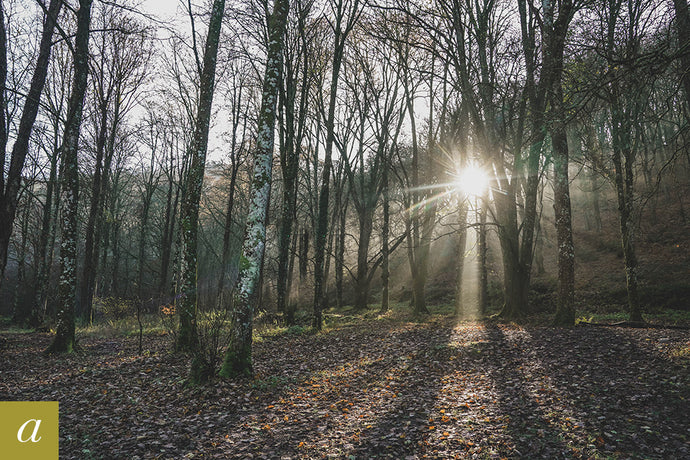 Dartmoor on December 6th 2020