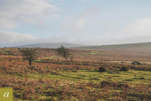 Load image into Gallery viewer, Dartmoor on December 7th 2020
