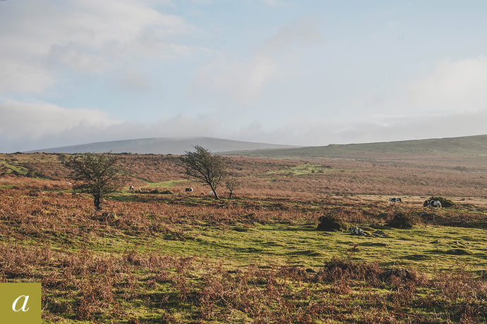 Dartmoor on December 7th 2020