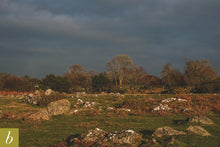 Load image into Gallery viewer, Dartmoor on December 7th 2020
