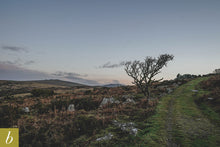 Load image into Gallery viewer, Dartmoor on December 8th 2020
