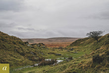 Load image into Gallery viewer, Dartmoor on December 9th 2020
