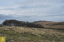 Load image into Gallery viewer, Dartmoor on December 9th 2020
