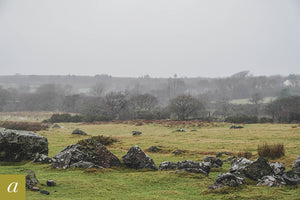 Dartmoor on February 2nd 2021