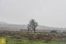 Load image into Gallery viewer, Dartmoor on February 2nd 2021
