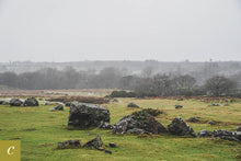 Load image into Gallery viewer, Dartmoor on February 2nd 2021
