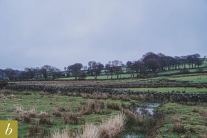 Dartmoor on February 3rd 2021