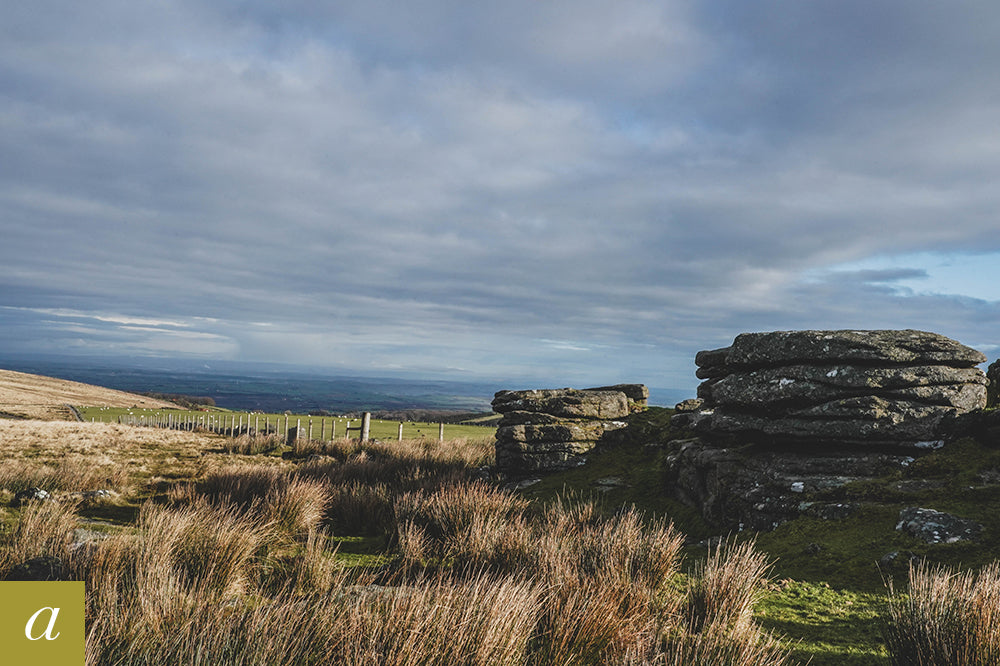 Dartmoor on February 6th 2021