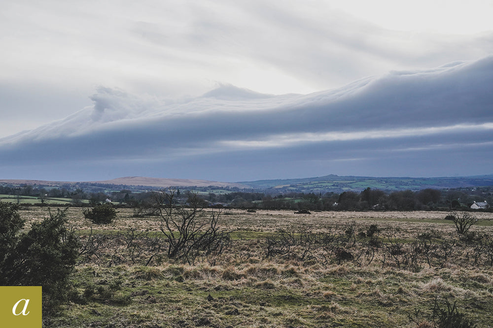 Dartmoor on February 9th 2021