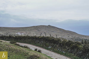 Dartmoor on February 9th 2021