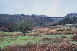 Dartmoor on January 11th 2021