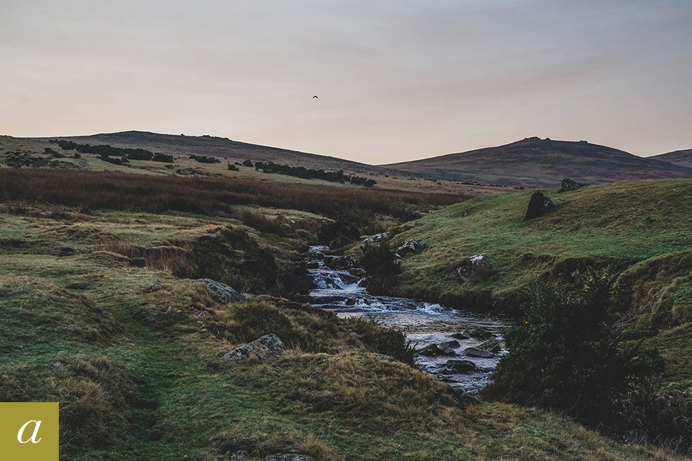 Dartmoor on January 15th 2021