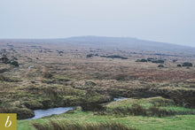 Load image into Gallery viewer, Dartmoor on January 18th 2021
