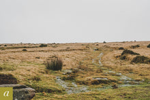 Load image into Gallery viewer, Dartmoor on January 19th 2021
