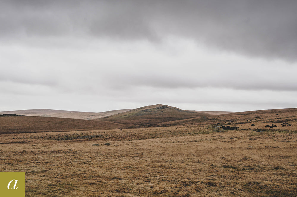 Dartmoor on January 21st 2021