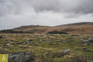 Dartmoor on January 21st 2021