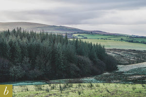 Dartmoor on January 22nd 2021