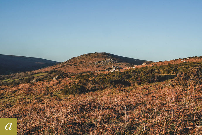 Dartmoor on January 23rd 2021