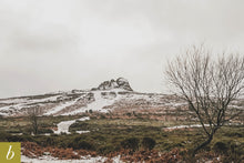 Load image into Gallery viewer, Dartmoor on January 24th 2021
