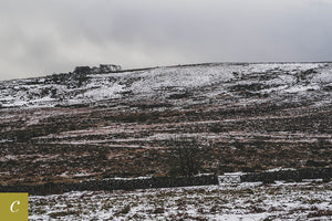 Dartmoor on January 24th 2021