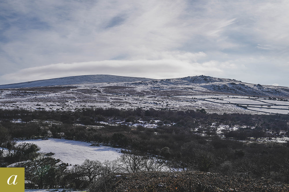 Dartmoor on January 25th 2021