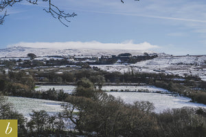 Dartmoor on January 25th 2021