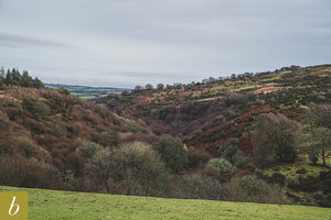 Dartmoor on January 27th 2021