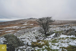 Dartmoor on January 4th 2021