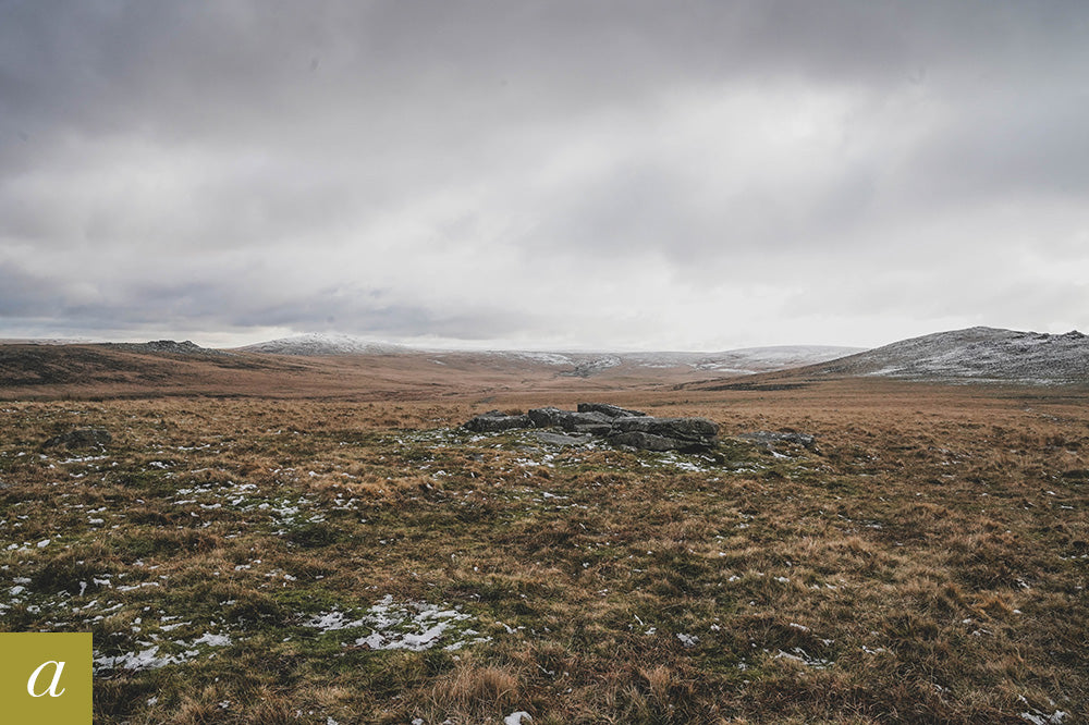 Dartmoor on January 5th 2021