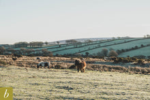 Load image into Gallery viewer, Dartmoor on January 7th 2021
