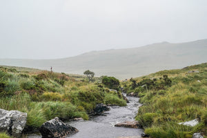 Dartmoor on July 3rd 2020