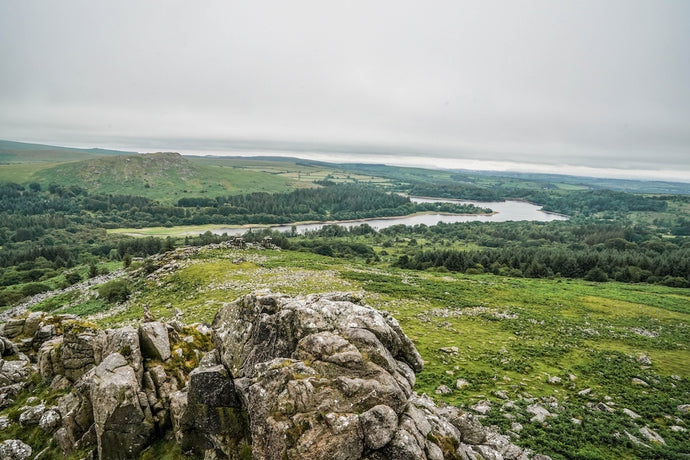 Dartmoor on July 8th 2020