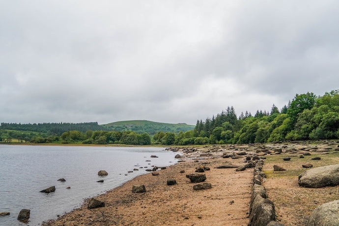 Dartmoor on June 27th 2020