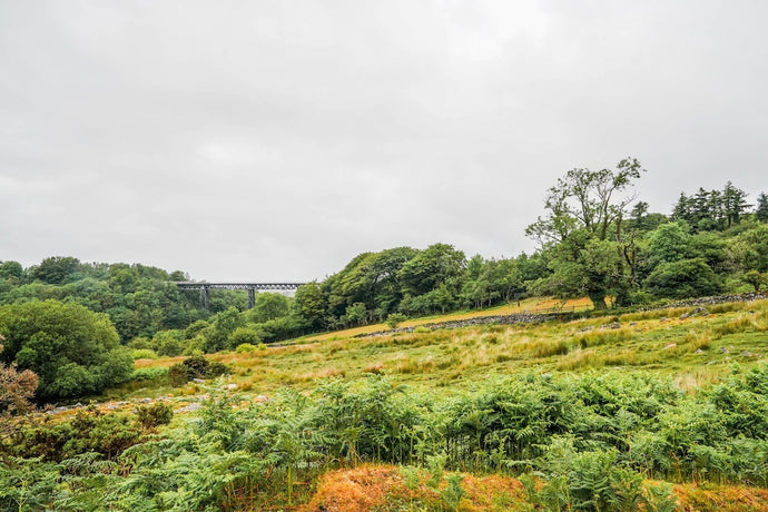 Dartmoor on June 6th 2020