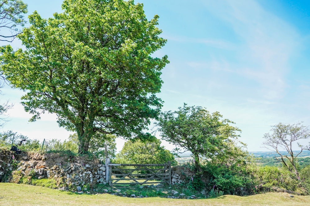 Dartmoor on May 31st 2020