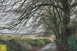Dartmoor on November 10th 2020