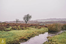 Load image into Gallery viewer, Dartmoor on November 16th 2020
