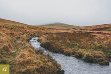 Load image into Gallery viewer, Dartmoor on November 20th 2020
