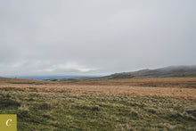 Load image into Gallery viewer, Dartmoor on November 20th 2020

