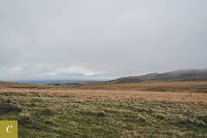 Dartmoor on November 20th 2020